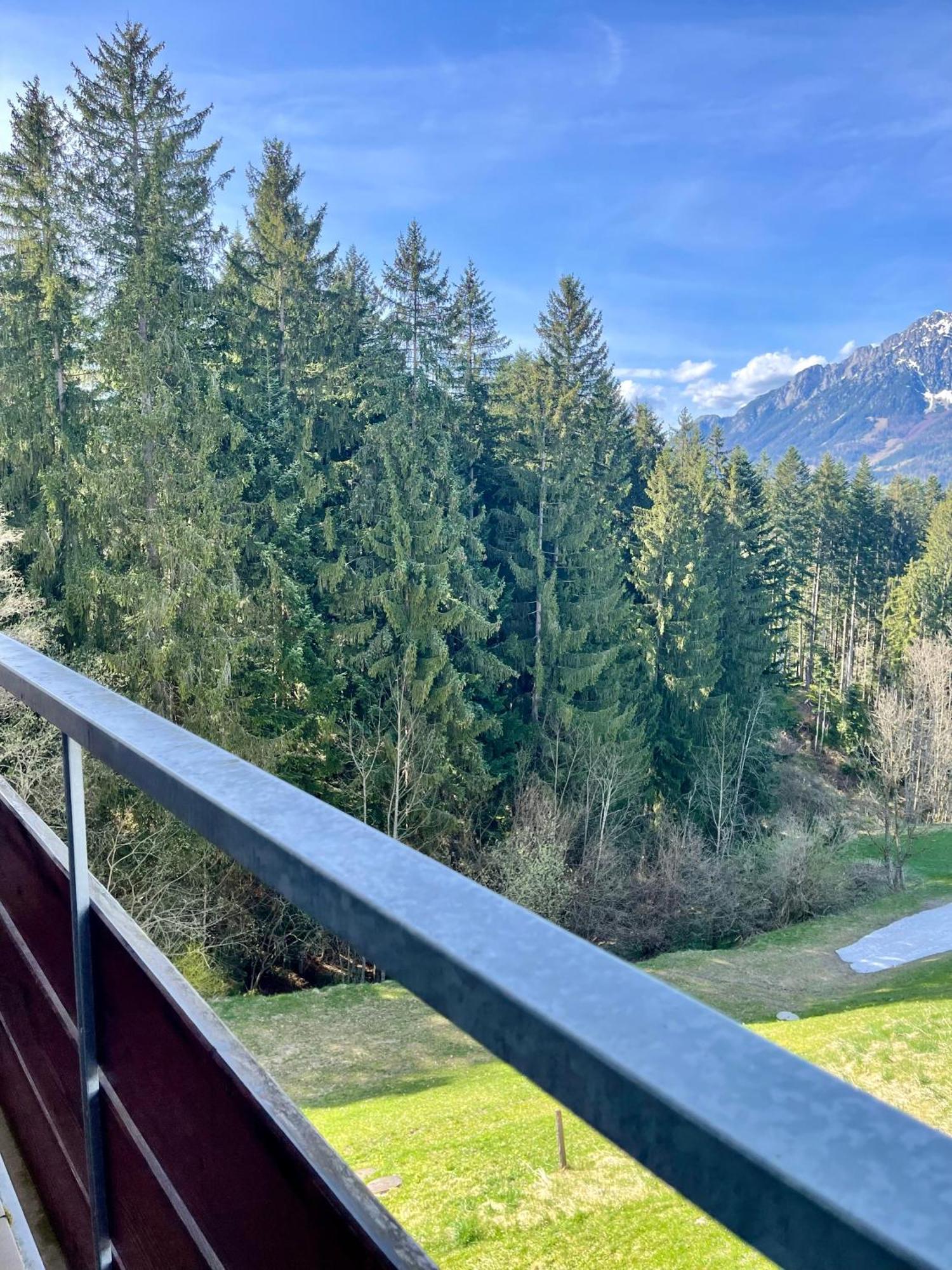 Appartement Berghof Ellmau