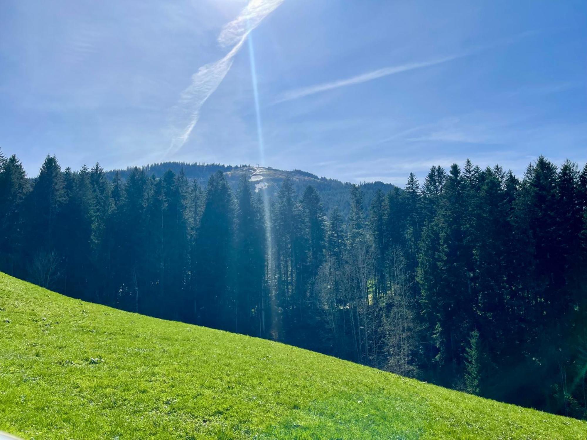 Appartement Berghof Ellmau